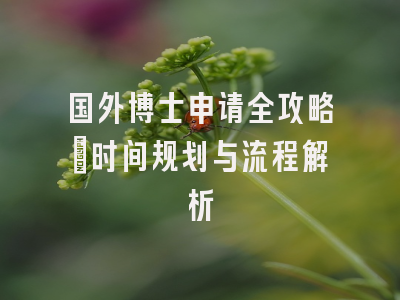 国外博士申请全攻略：时间规划与流程解析