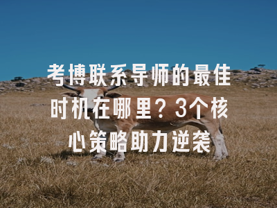 考博联系导师的最佳时机在哪里？3个核心策略助力逆袭
