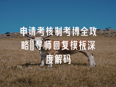 申请考核制考博全攻略：导师回复模板深度解码