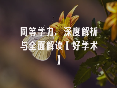同等学力，深度解析与全面解读【好学术】