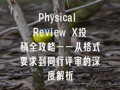 Physical Review X投稿全攻略——从格式要求到同行评审的深度解析