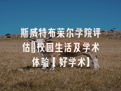 斯威特布莱尔学院评估：校园生活及学术体验【好学术】
