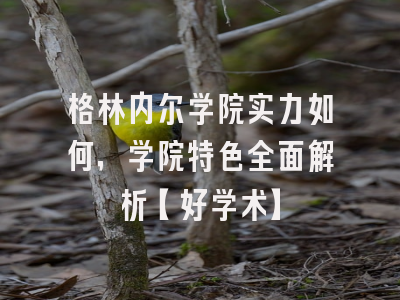 格林内尔学院实力如何，学院特色全面解析【好学术】