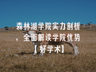 森林湖学院实力剖析，全面解读学院优势【好学术】