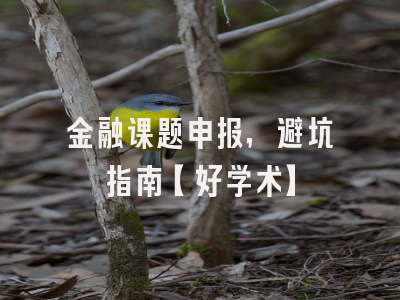 金融课题申报，避坑指南【好学术】