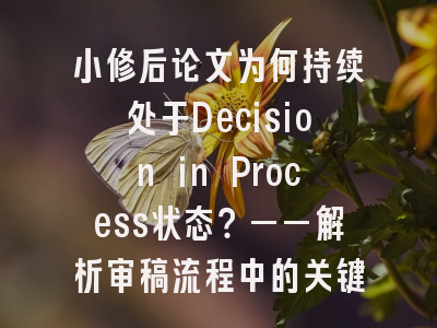 小修后论文为何持续处于Decision in Process状态？——解析审稿流程中的关键节点