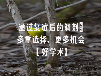 通过复试后的调剂：多重选择，更多机会【好学术】