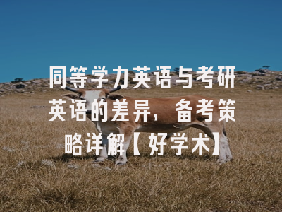 同等学力英语与考研英语的差异，备考策略详解【好学术】