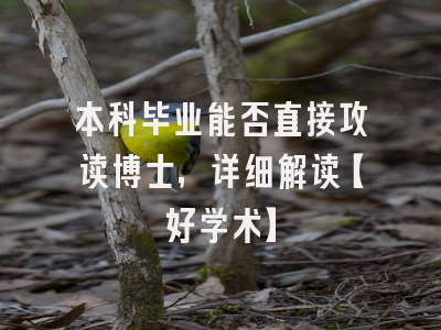本科毕业能否直接攻读博士，详细解读【好学术】