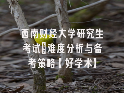 西南财经大学研究生考试：难度分析与备考策略【好学术】