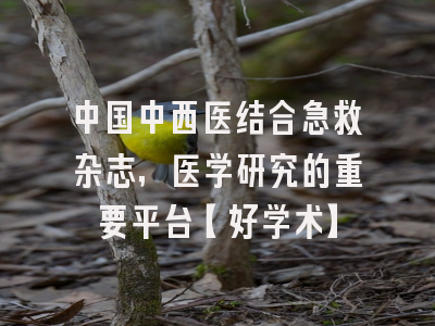 中国中西医结合急救杂志，医学研究的重要平台【好学术】