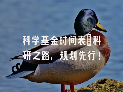 科学基金时间表：科研之路，规划先行！