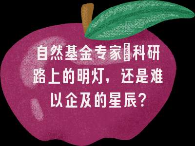 自然基金专家：科研路上的明灯，还是难以企及的星辰？