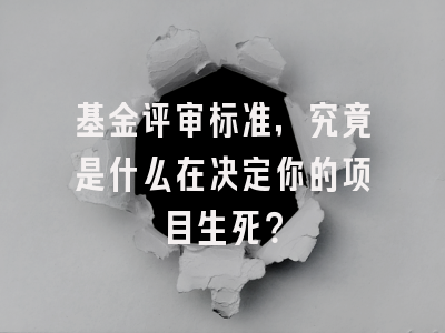 基金评审标准，究竟是什么在决定你的项目生死？