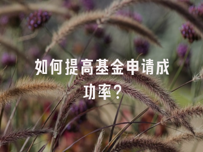 如何提高基金申请成功率？