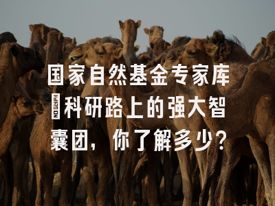 国家自然基金专家库：科研路上的强大智囊团，你了解多少？