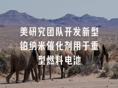 美研究团队开发新型铂纳米催化剂用于重型燃料电池