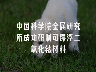 中国科学院金属研究所成功研制可漂浮二氧化钛材料