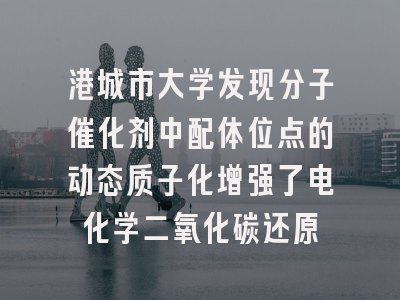 港城市大学发现分子催化剂中配体位点的动态质子化增强了电化学二氧化碳还原