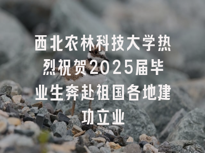 西北农林科技大学热烈祝贺2025届毕业生奔赴祖国各地建功立业