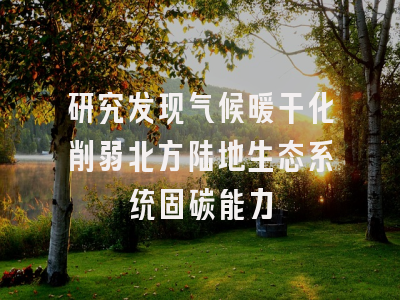 研究发现气候暖干化削弱北方陆地生态系统固碳能力