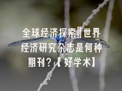全球经济探索：世界经济研究杂志是何种期刊？【好学术】
