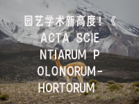 学术会议在线