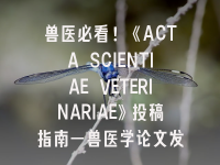 学术会议在线