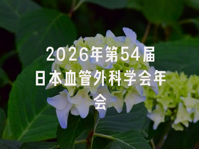 2026年第54届日本血管外科学会年会