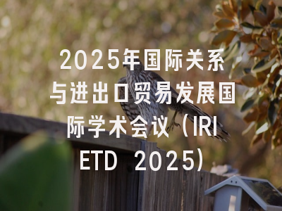 2025年国际关系与进出口贸易发展国际学术会议（IRIETD 2025）
