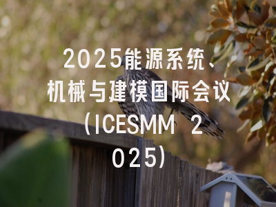 2025能源系统、机械与建模国际会议（ICESMM 2025）