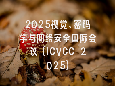 2025视觉、密码学与网络安全国际会议（ICVCC 2025）