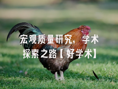 宏观质量研究，学术探索之路【好学术】