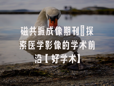 磁共振成像期刊：探索医学影像的学术前沿【好学术】