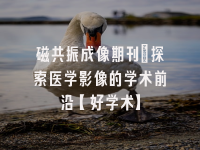 学术会议在线