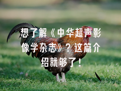 想了解《中华超声影像学杂志》？这篇介绍就够了！