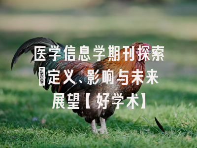 医学信息学期刊探索：定义、影响与未来展望【好学术】