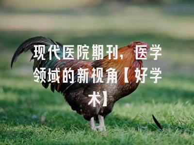 现代医院期刊，医学领域的新视角【好学术】