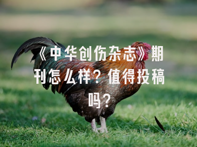 《中华创伤杂志》期刊怎么样？值得投稿吗？