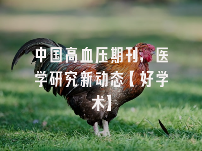 中国高血压期刊，医学研究新动态【好学术】