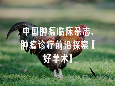 中国肿瘤临床杂志，肿瘤诊疗前沿探索【好学术】