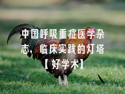 中国呼吸重症医学杂志，临床实践的灯塔【好学术】