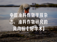 学术会议在线