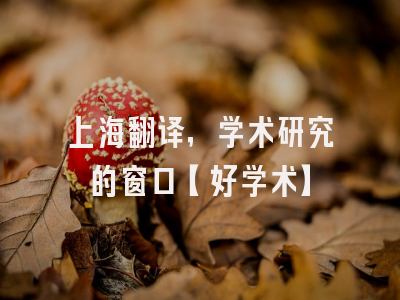 上海翻译，学术研究的窗口【好学术】