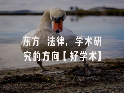 东方 法律，学术研究的方向【好学术】