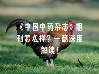 《中国中药杂志》期刊怎么样？一篇深度解读！