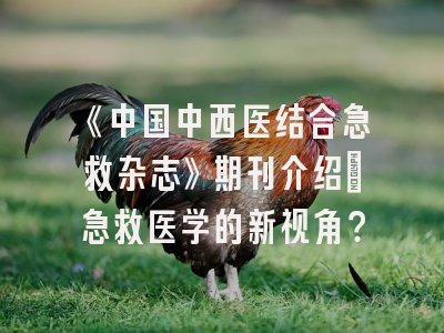 《中国中西医结合急救杂志》期刊介绍：急救医学的新视角？