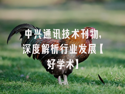 中兴通讯技术刊物，深度解析行业发展【好学术】
