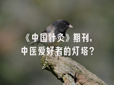 《中国针灸》期刊，中医爱好者的灯塔？