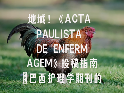 地域！《ACTA PAULISTA DE ENFERMAGEM》投稿指南：巴西护理学期刊的黄金标准